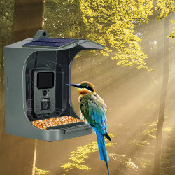 NIGHTLOOKER Wifi-303 Bird Solaire - Mangeoire à oiseaux avec caméra solaire de détection